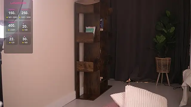 JoyMuse webcam