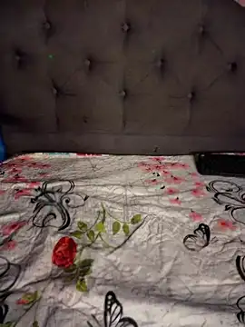 Im_Little webcam
