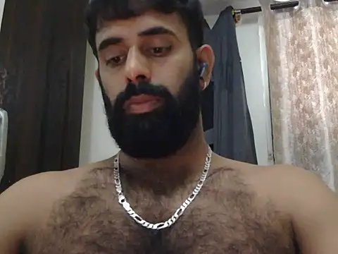 indianhairybull webcam