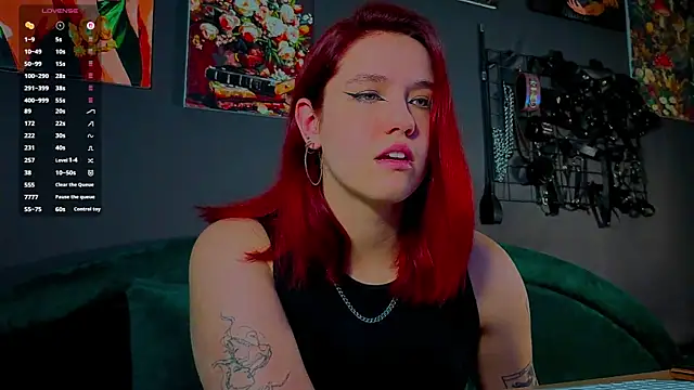 Serve_to_Alexa webcam