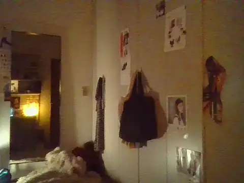 plsmecha webcam