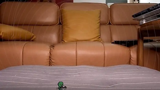 sshadowmaster webcam