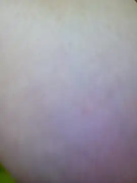 Watch RuxyHuge42ETT live on EroticFlix - High definition streams