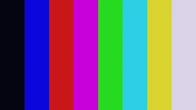 DellaSchane webcam