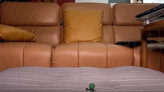 sshadowmaster webcam