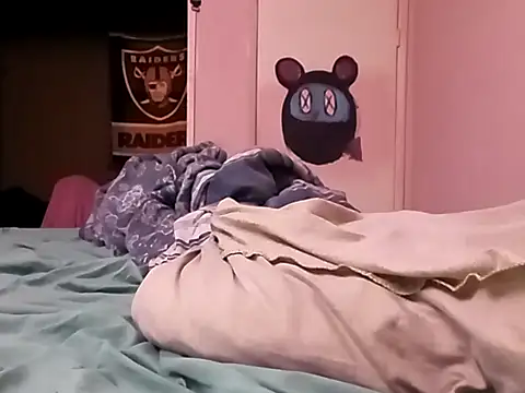 Blkstylion webcam