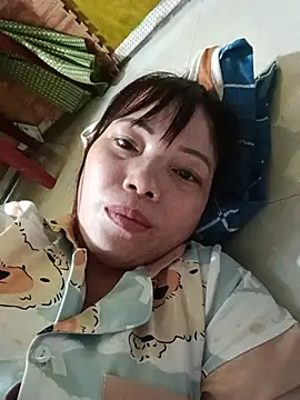 Sana-vn webcam