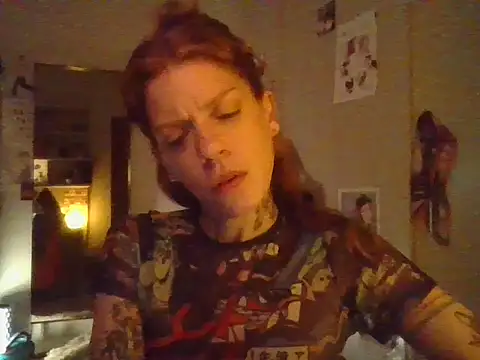 plsmecha webcam