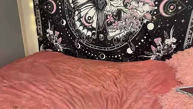 ari_kat