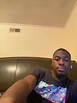 ThickDic28 webcam