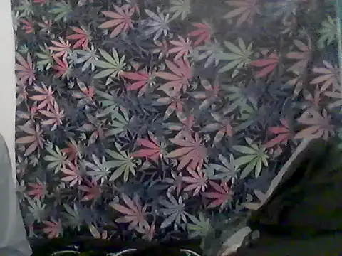 libraxxxstudios webcam