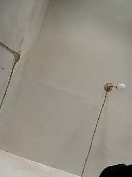 wz9500 webcam
