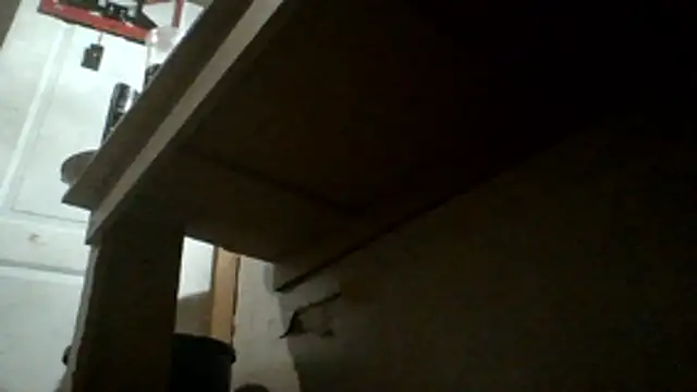 oglong webcam