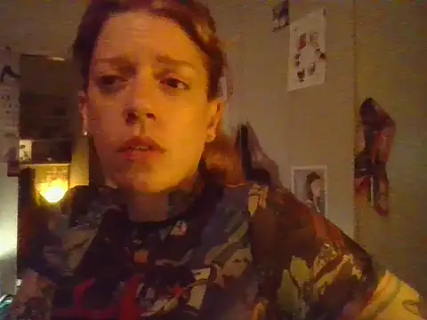 plsmecha webcam