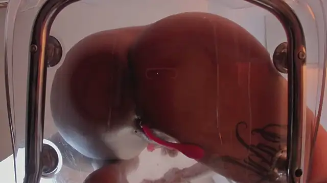 Arianmoon_ webcam