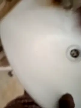 Hyd_Guy4Gals webcam
