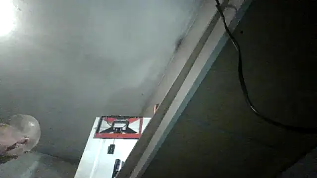 oglong webcam