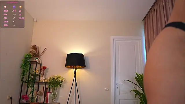 MaydaCornwall webcam