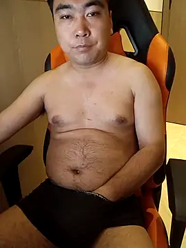 wz9500 webcam