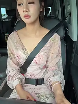 Aria-1111 webcam
