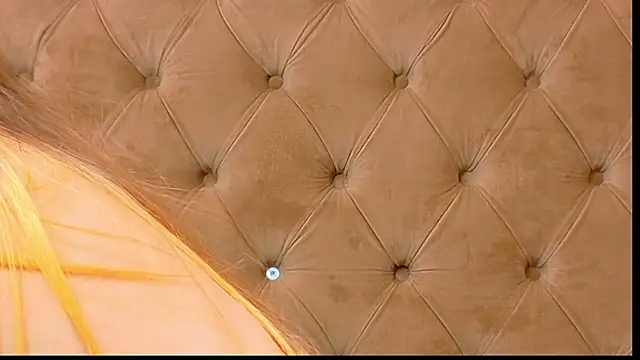 CoraVex webcam