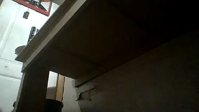 oglong webcam