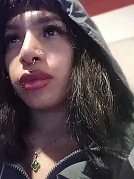 MeelFox webcam