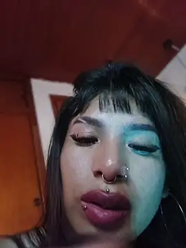 MeelFox webcam