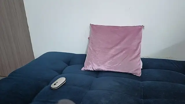 brandy_h9 webcam