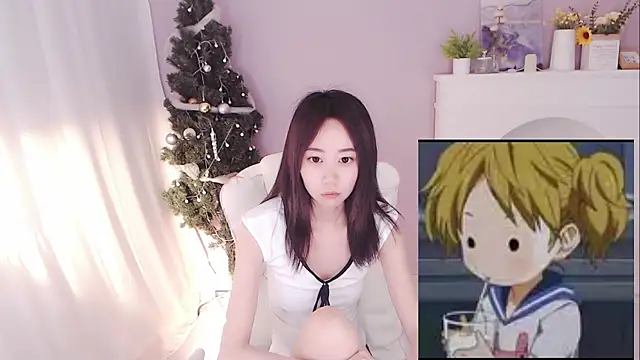 hall-33 webcam