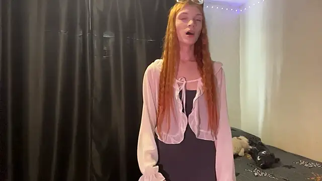 IndigoQuestion webcam
