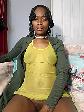 HoneyDropsX webcam