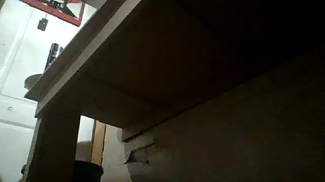 oglong webcam