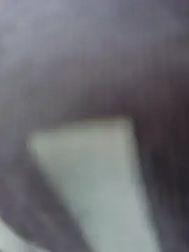 LadyTouch webcam