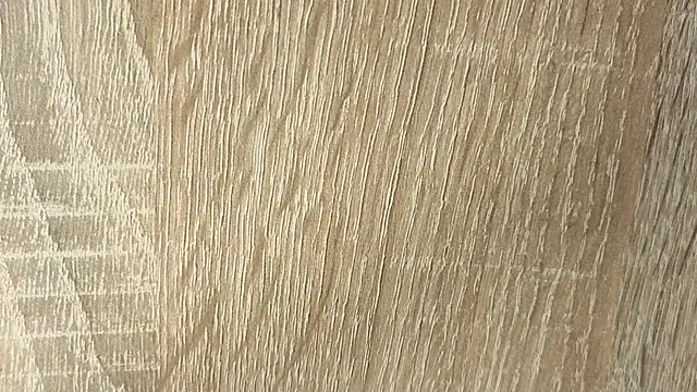 NoFace_Model webcam