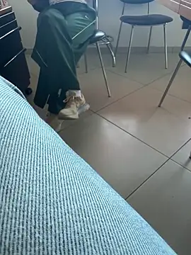 buodiculo webcam