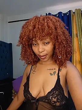 schatz_harvin webcam
