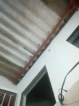 camillaCat webcam