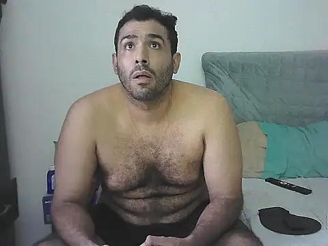 IronSideBear webcam