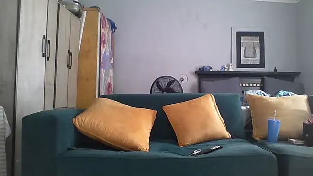 Winterslender webcam