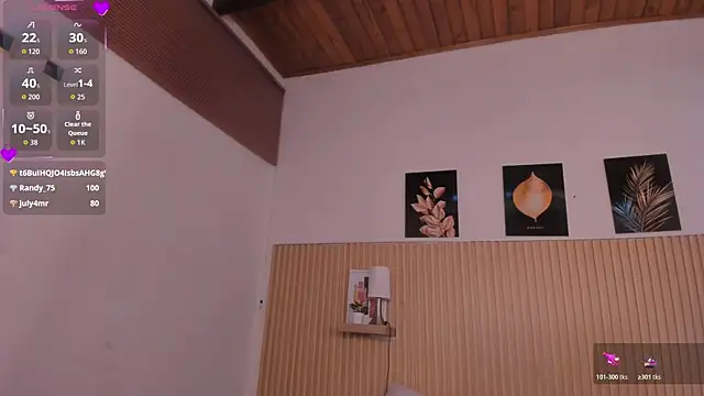 LittleNoor webcam