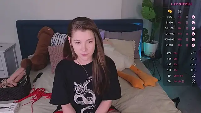 Mira_Falls webcam