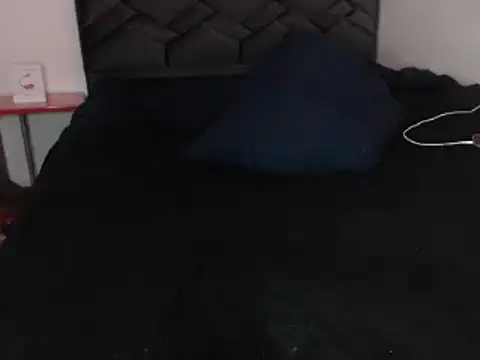 danypalmer webcam