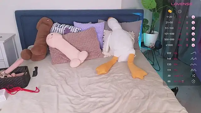 Mira_Falls
