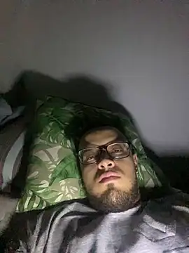 StativeRich webcam