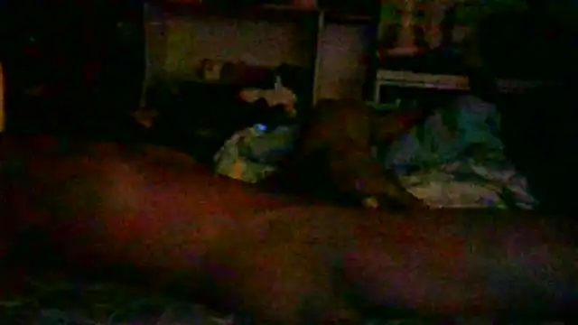 _P3RKY_IMMORTAL3_FIR3_ webcam