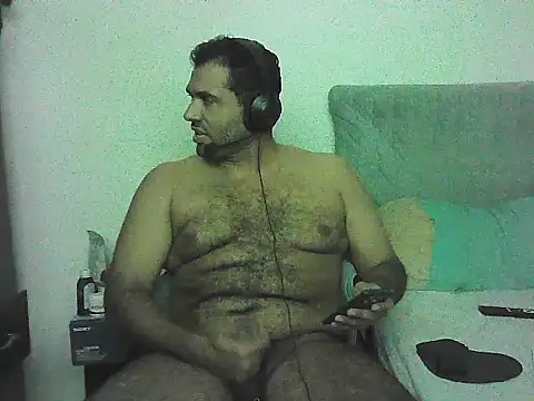 IronSideBear webcam