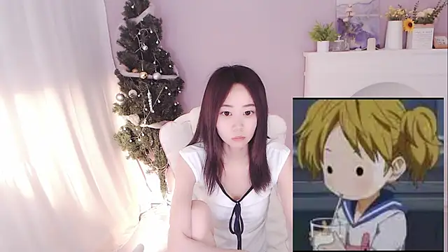 hall-33 webcam