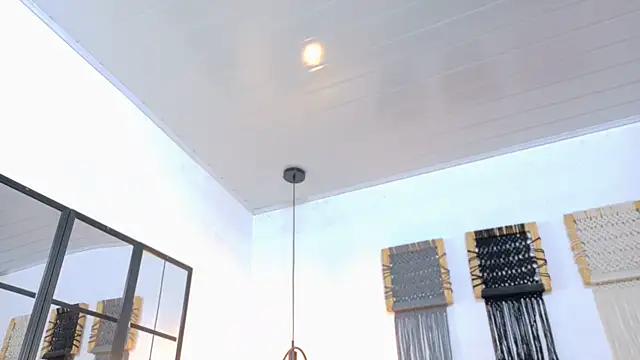 Sweet_camille webcam