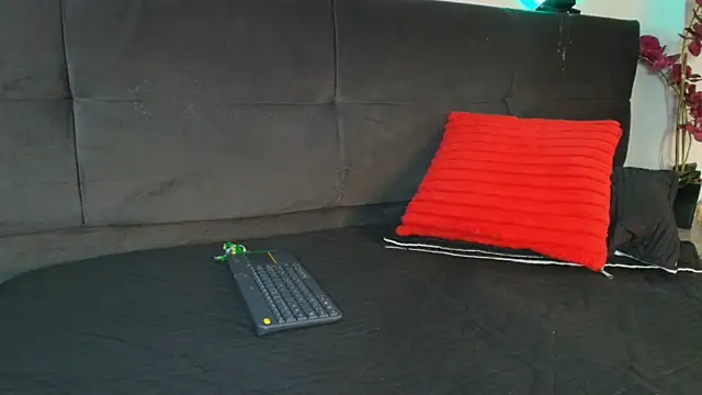 Alan_Colthon webcam